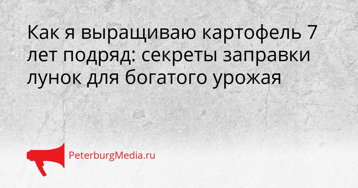 Как я выращиваю картофель 7 лет подряд: секреты заправки лунок для богатого урожая Сгенерировано