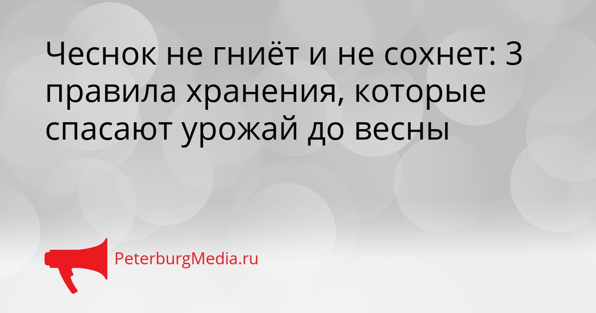 Чеснок не гниёт и не сохнет: 3 правила хранения, которые спасают урожай до весны