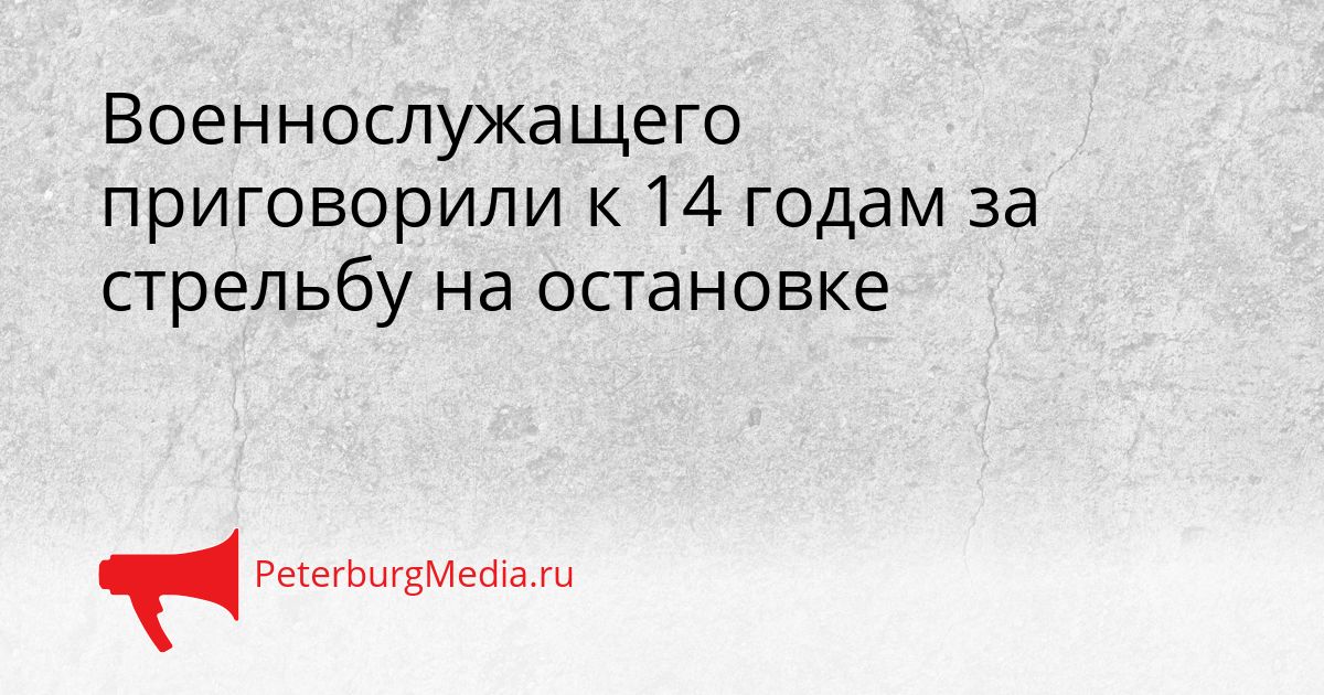 Военнослужащего приговорили к 14 годам за стрельбу на остановке