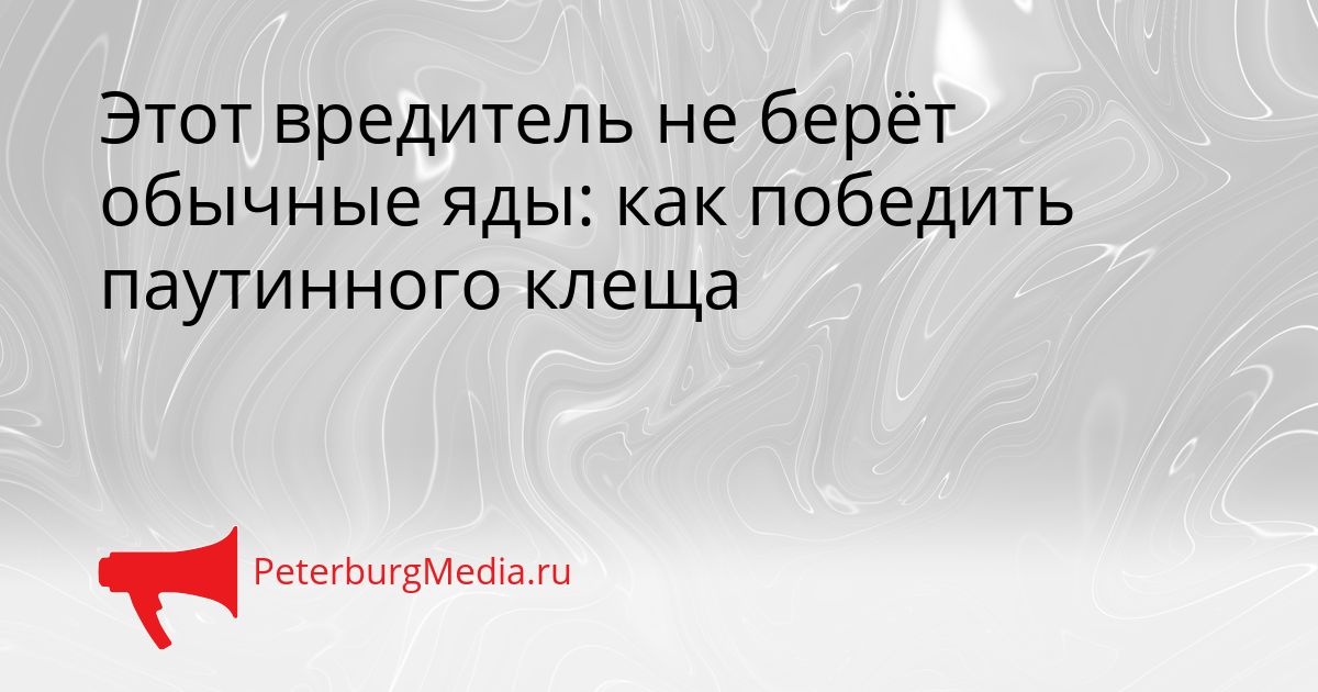 Этот вредитель не берёт обычные яды: как победить паутинного клеща