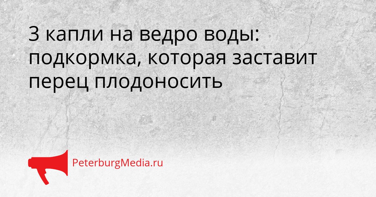 3 капли на ведро воды: подкормка, которая заставит перец плодоносить