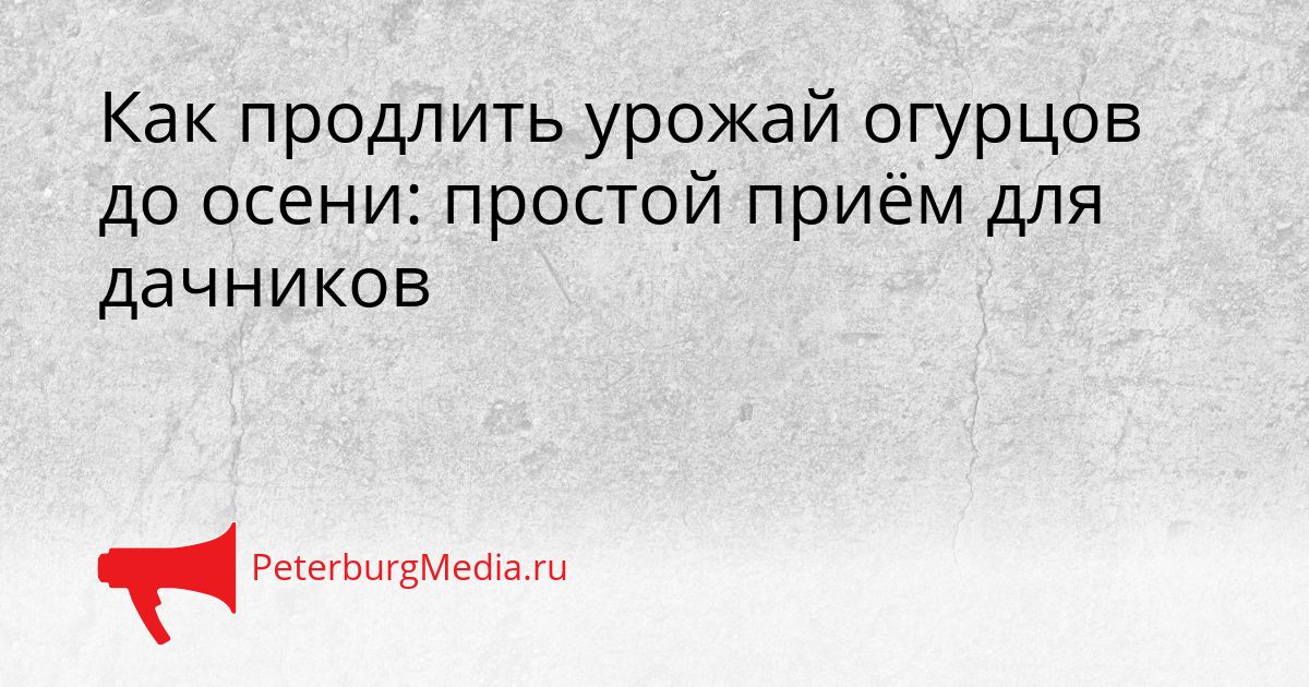 Как продлить урожай огурцов до осени: простой приём для дачников Сгенерировано