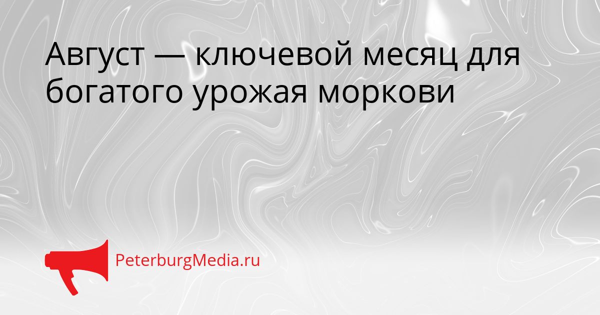 Август — ключевой месяц для богатого урожая моркови