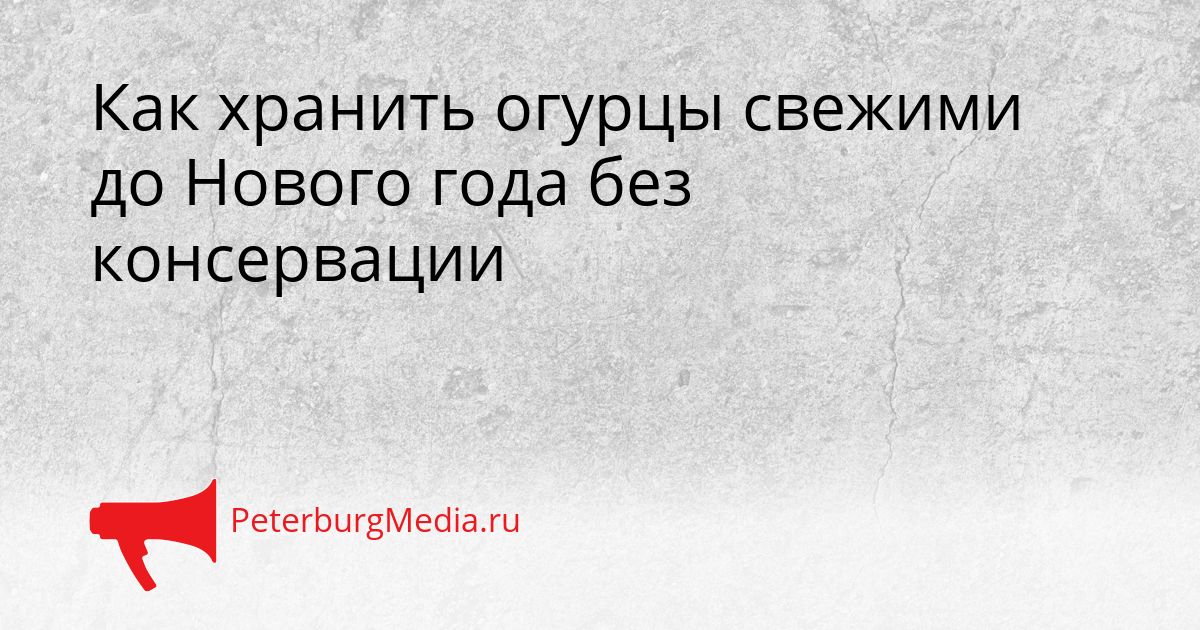 Как хранить огурцы свежими до Нового года без консервации