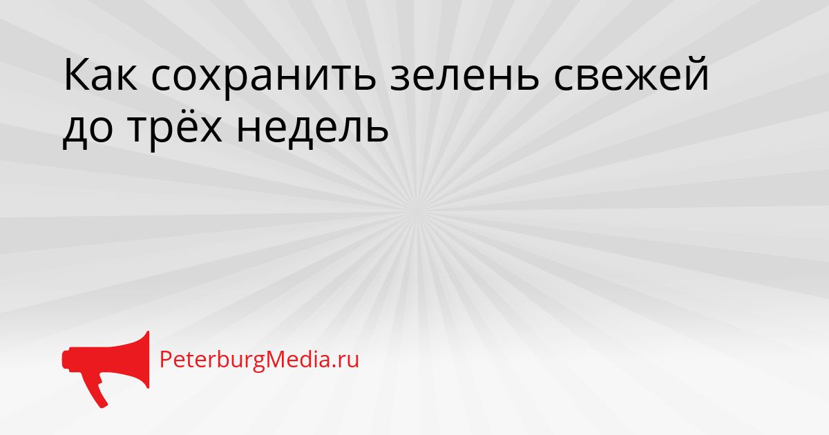 Как сохранить зелень свежей до трёх недель