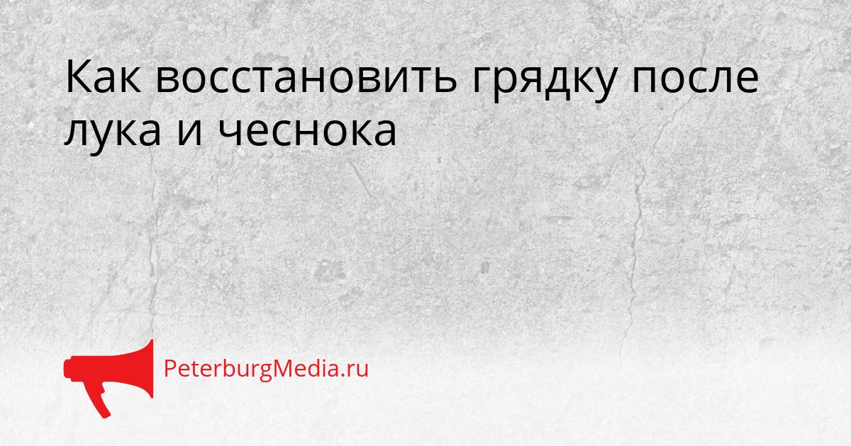 Как восстановить грядку после лука и чеснока Сгенерировано