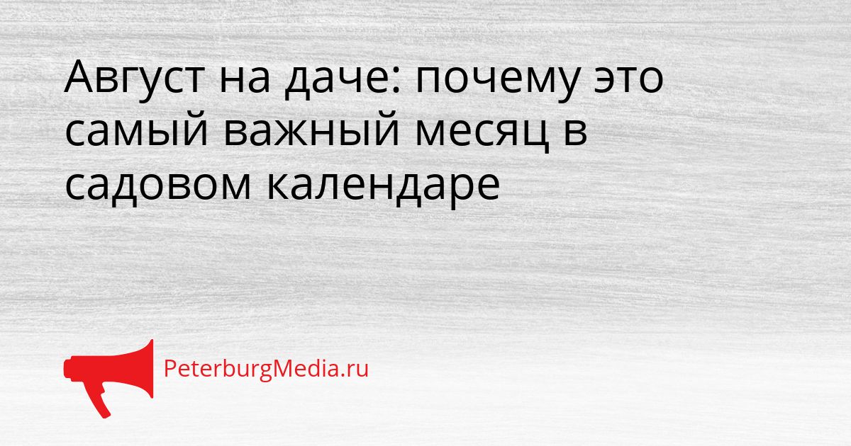 Август на даче: почему это самый важный месяц в садовом календаре Сгенерировано