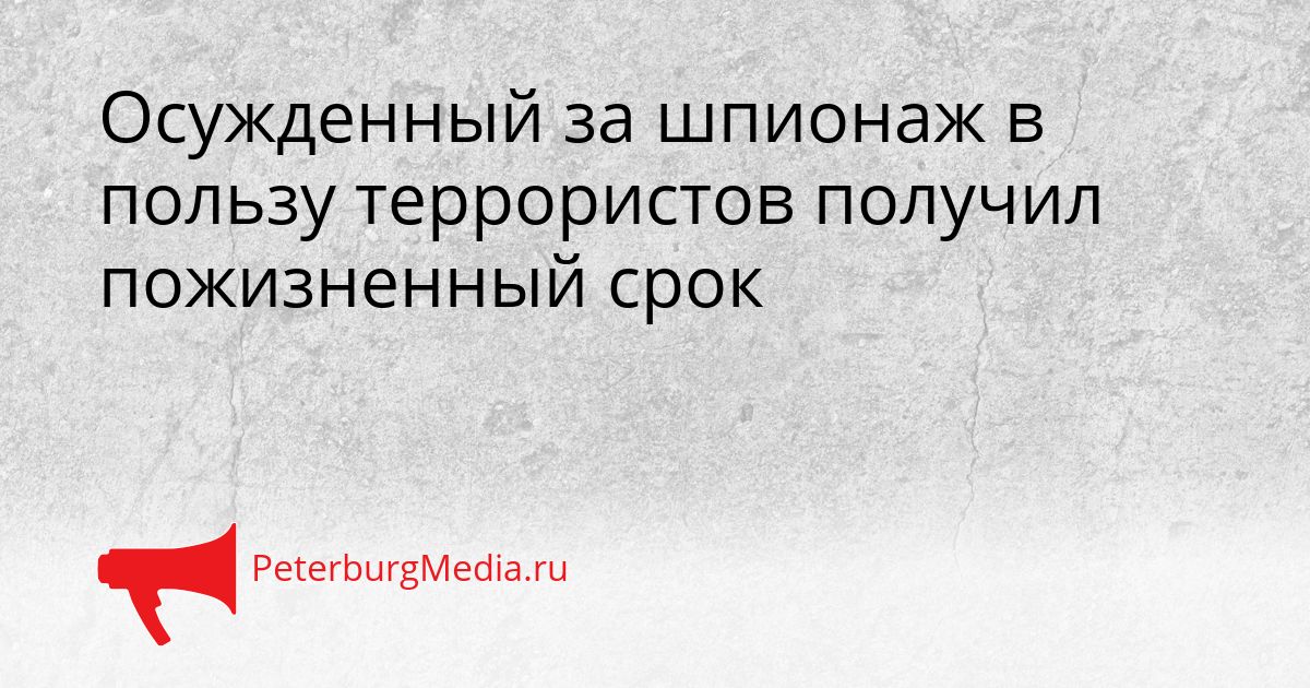 Осужденный за шпионаж в пользу террористов получил пожизненный срок