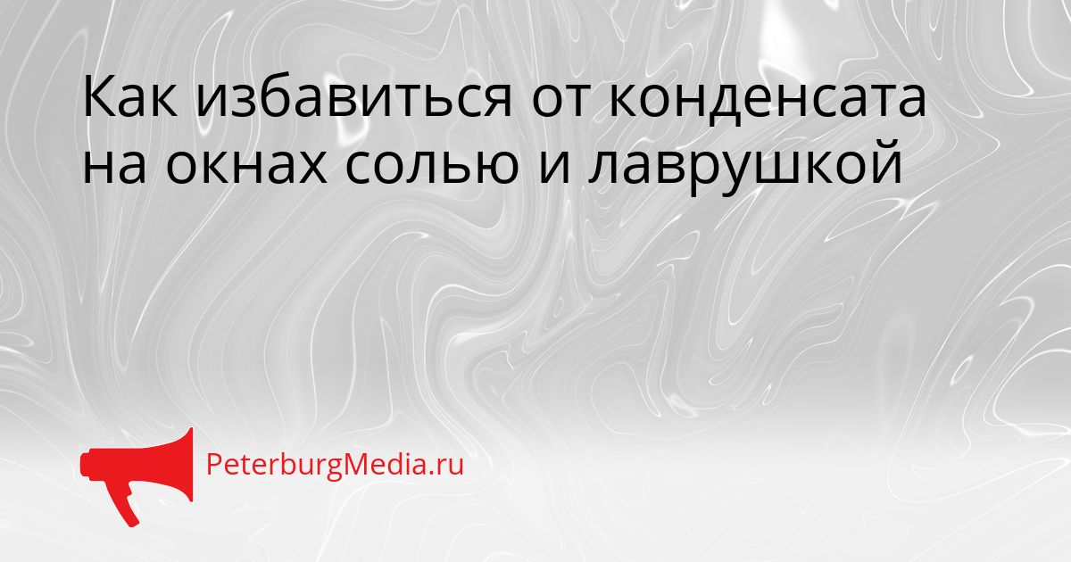 Как избавиться от конденсата на окнах солью и лаврушкой