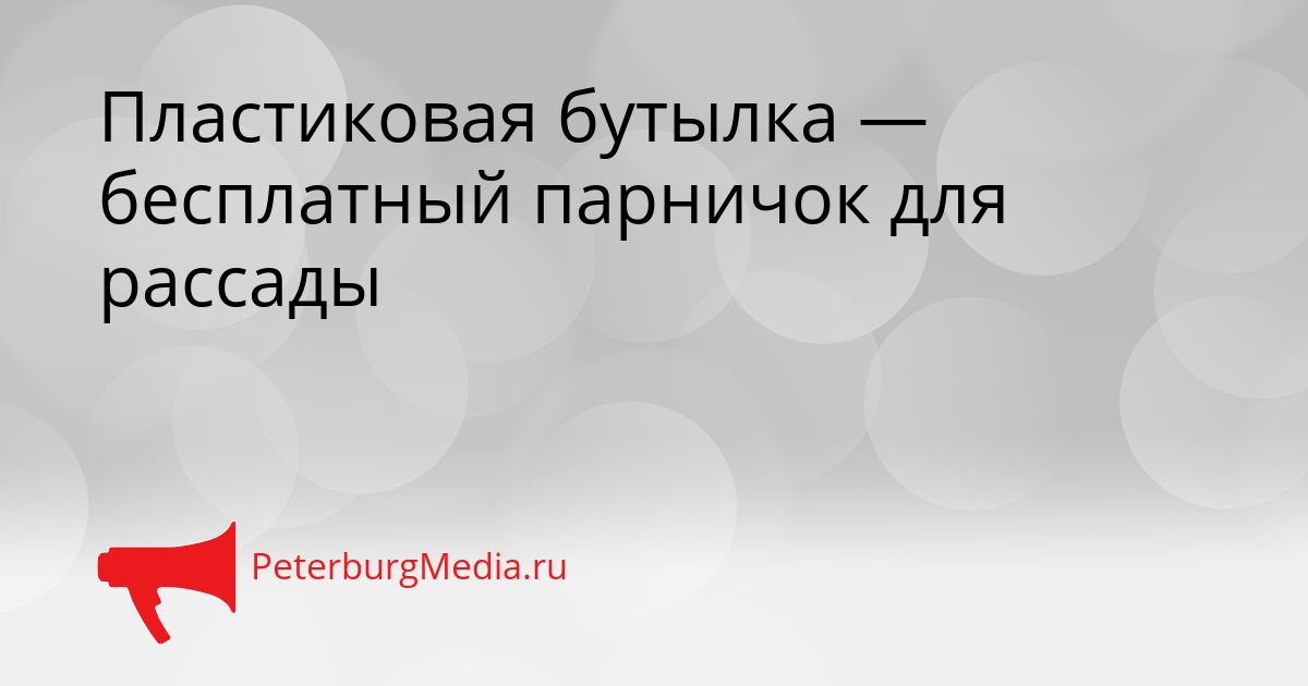Пластиковая бутылка — бесплатный парничок для рассады