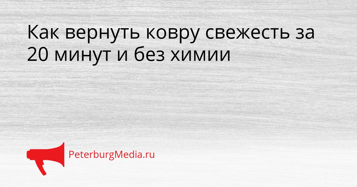 Как вернуть ковру свежесть за 20 минут и без химии