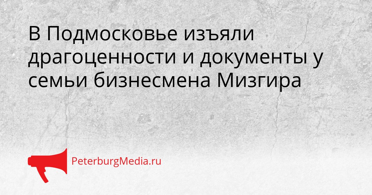 В Подмосковье изъяли драгоценности и документы у семьи бизнесмена Мизгира