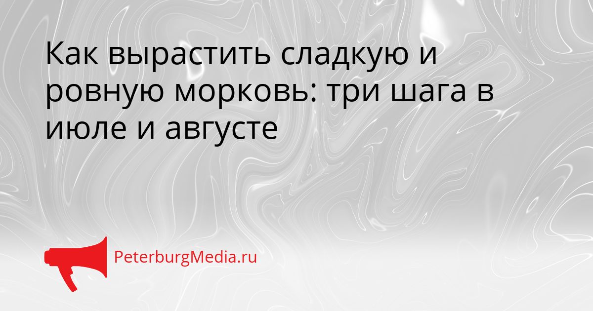Как вырастить сладкую и ровную морковь: три шага в июле и августе