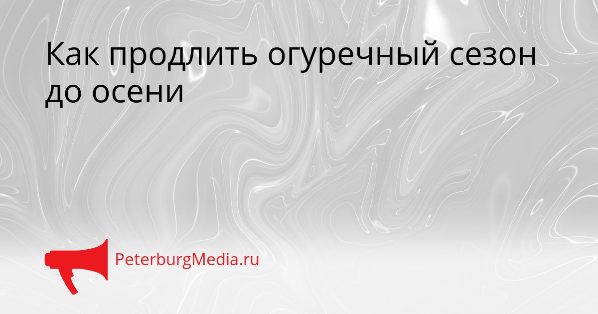 Как продлить огуречный сезон до осени