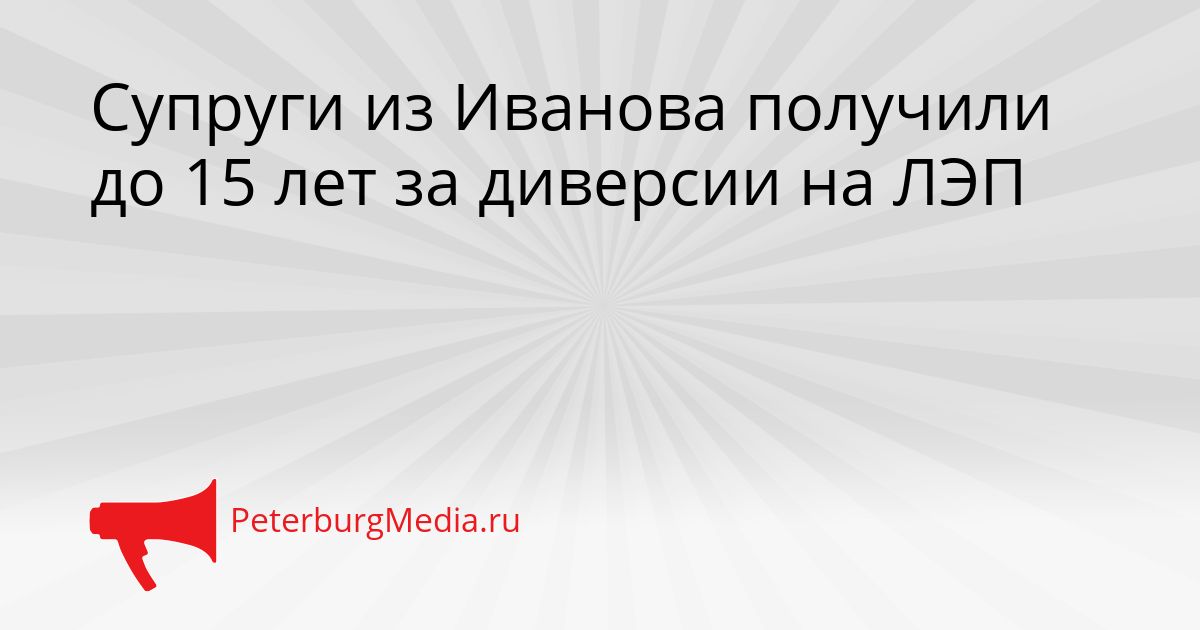 Супруги из Иванова получили до 15 лет за диверсии на ЛЭП