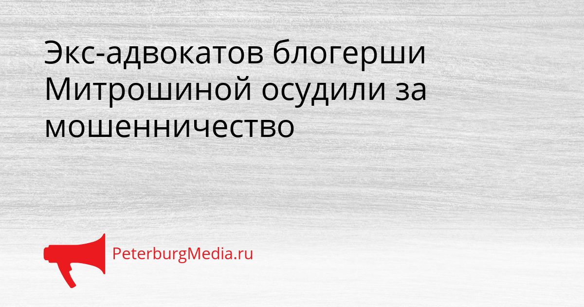 Экс-адвокатов блогерши Митрошиной осудили за мошенничество