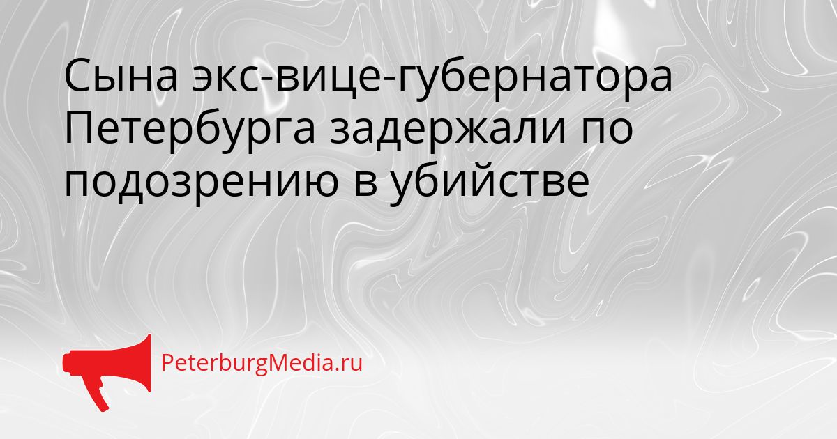 Сына экс-вице-губернатора Петербурга задержали по подозрению в убийстве