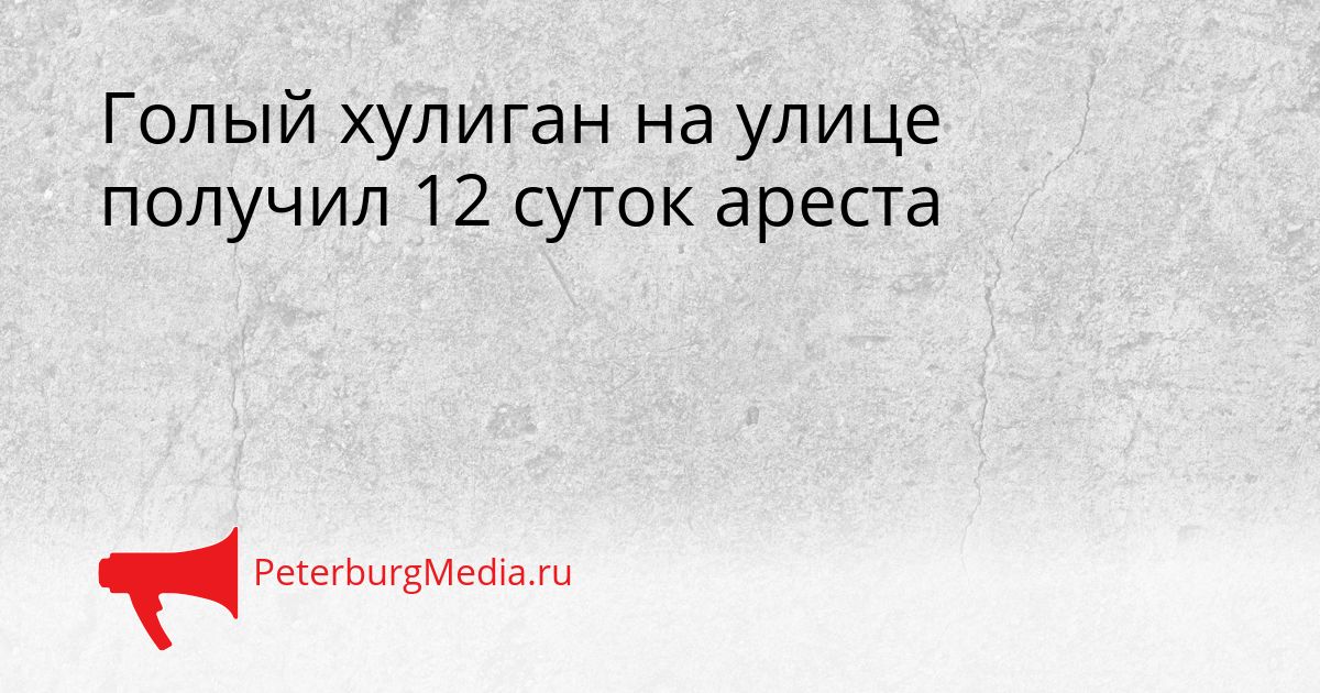 Голый хулиган на улице получил 12 суток ареста