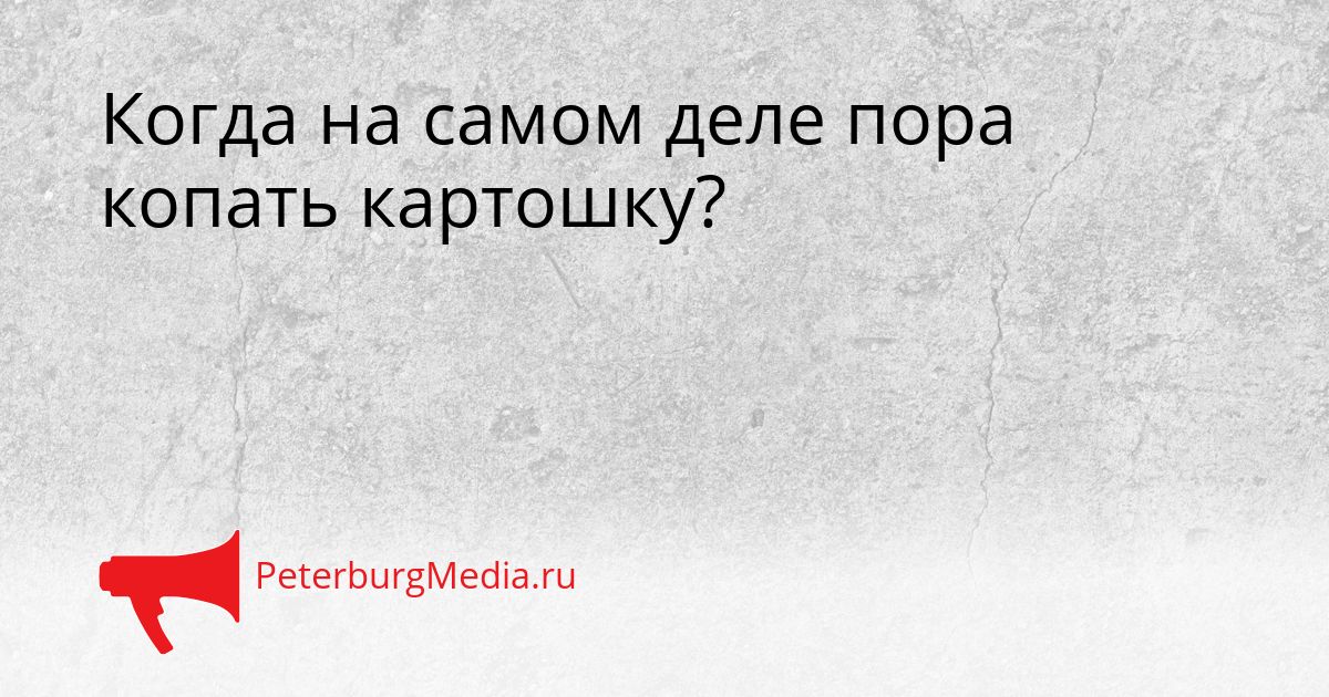 Когда на самом деле пора копать картошку?