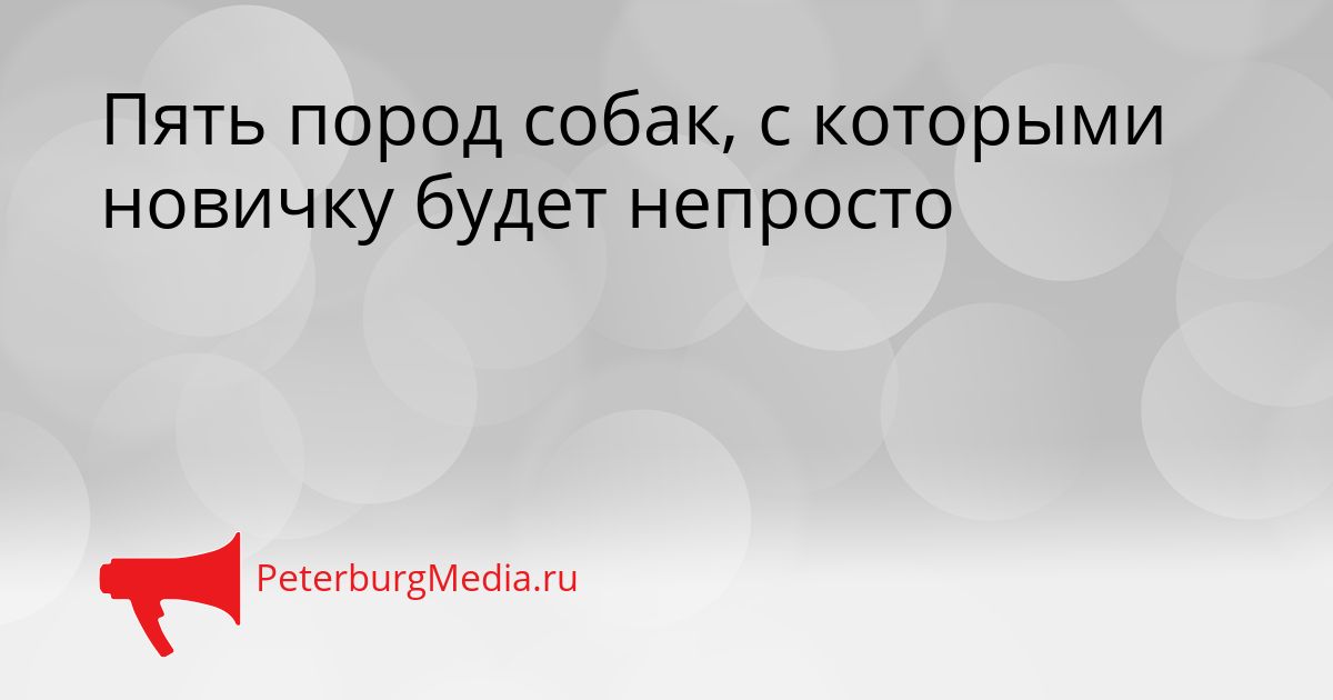 Пять пород собак, с которыми новичку будет непросто