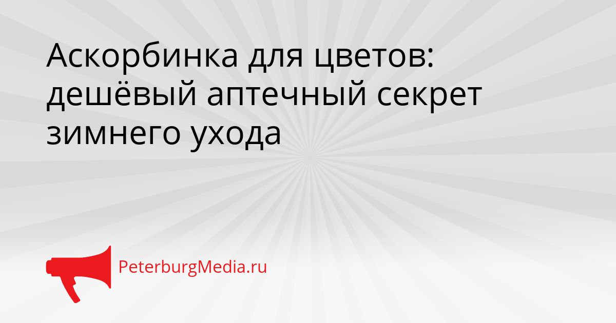 Аскорбинка для цветов: дешёвый аптечный секрет зимнего ухода