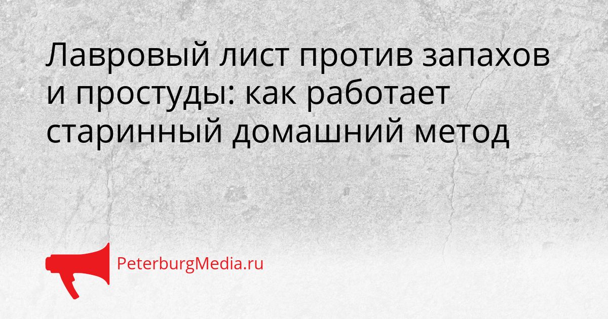 Лавровый лист против запахов и простуды: как работает старинный домашний метод