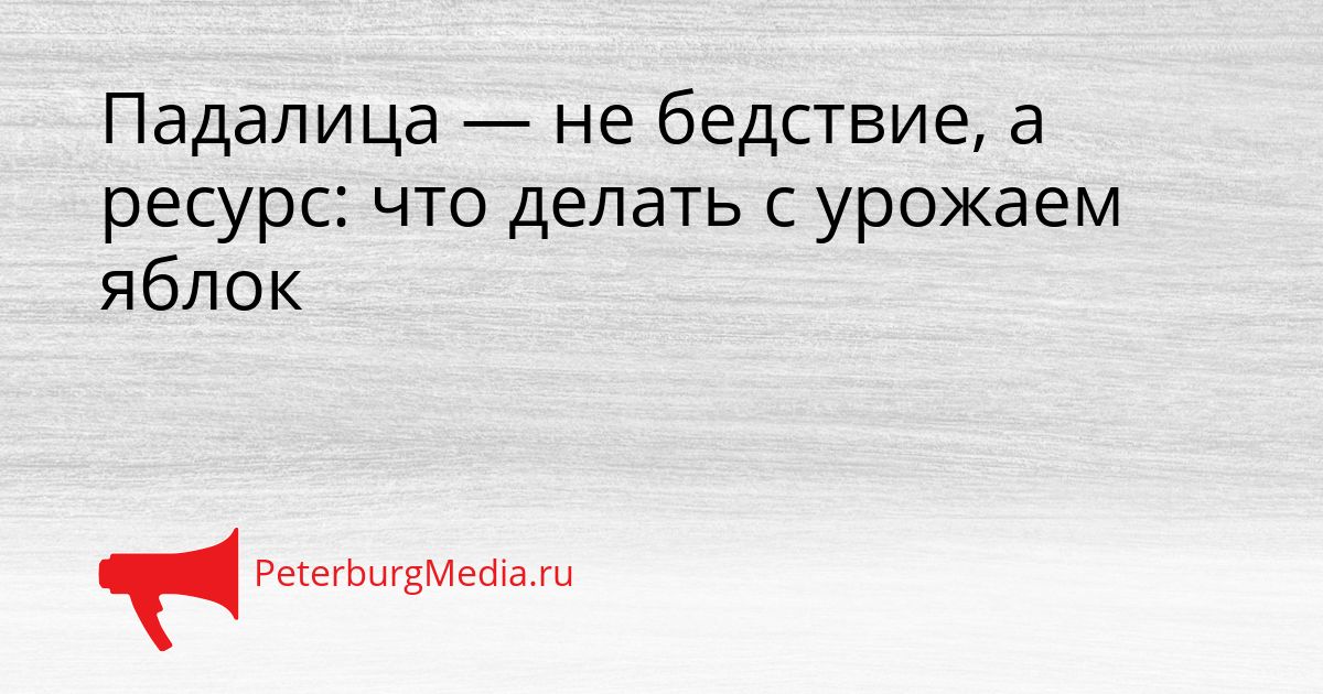 Падалица — не бедствие, а ресурс: что делать с урожаем яблок Сгенерировано