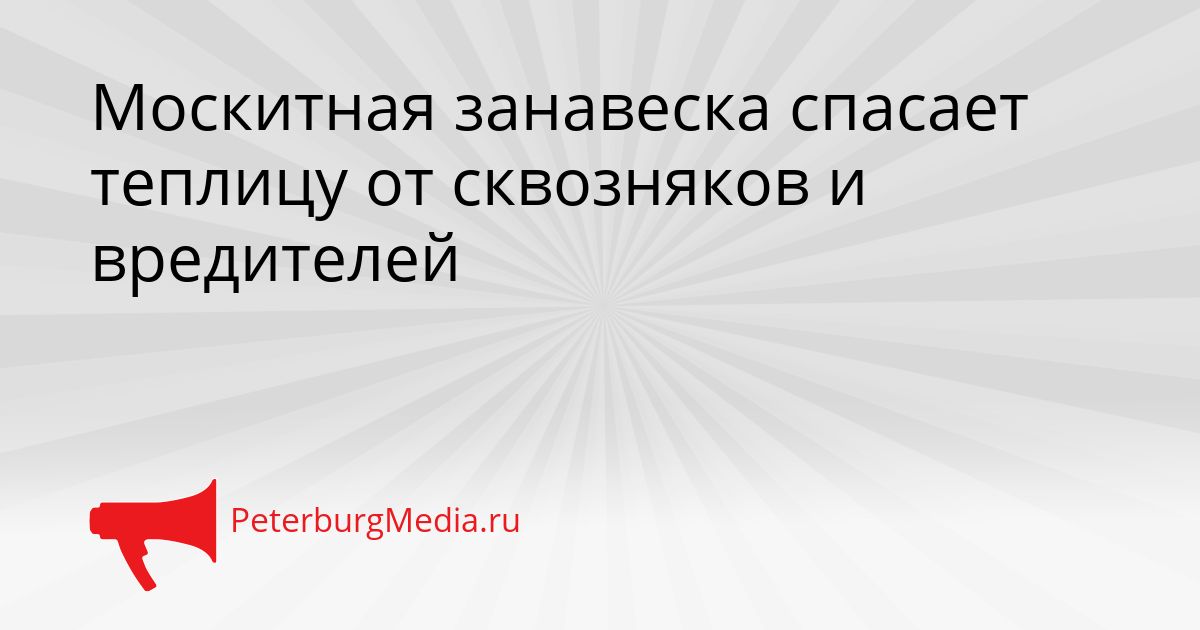 Москитная занавеска спасает теплицу от сквозняков и вредителей