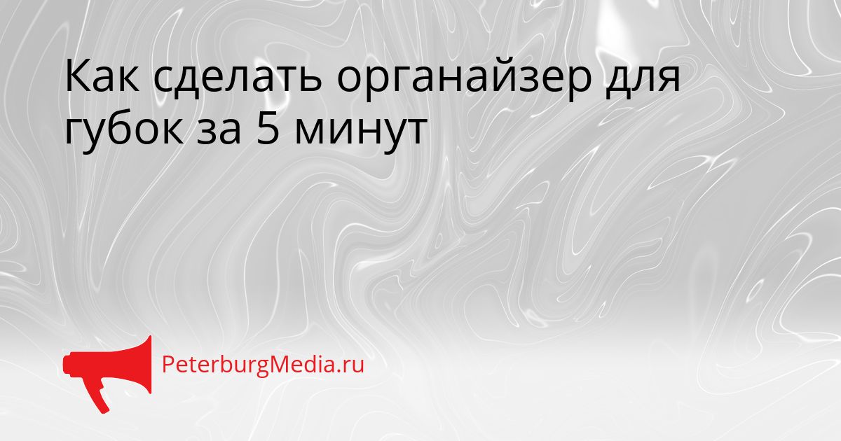 Как сделать органайзер для губок за 5 минут