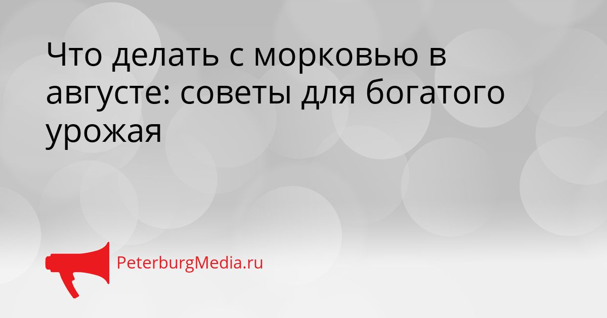 Что делать с морковью в августе: советы для богатого урожая