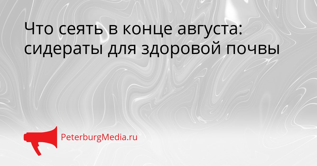 Что сеять в конце августа: сидераты для здоровой почвы
