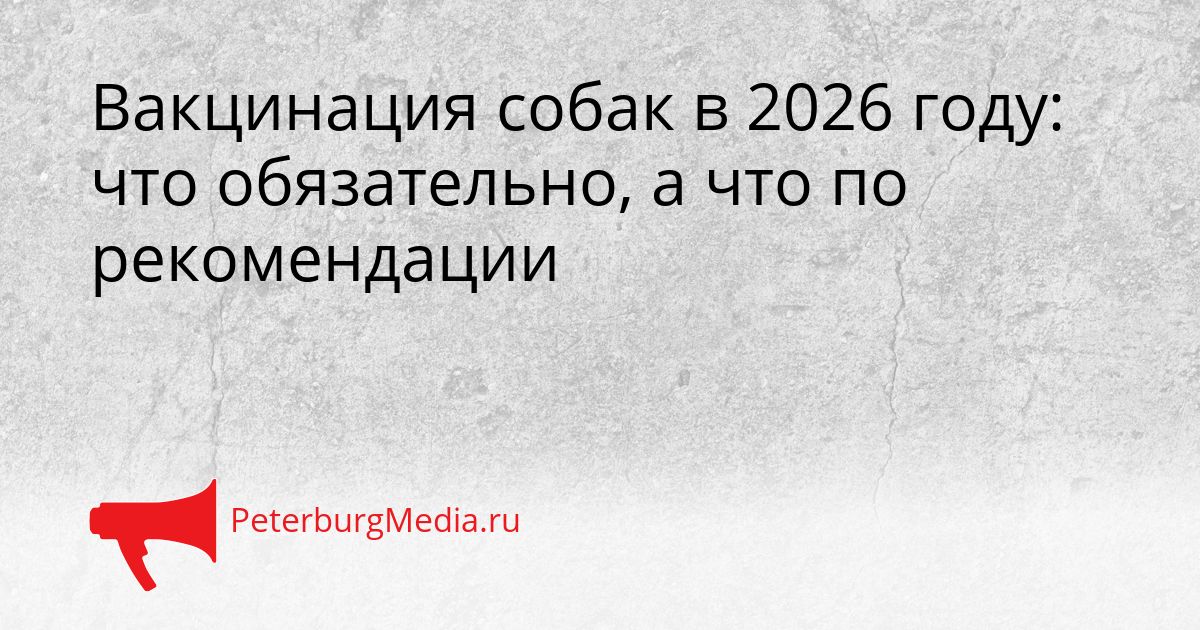 Вакцинация собак в 2026 году: что обязательно, а что по рекомендации