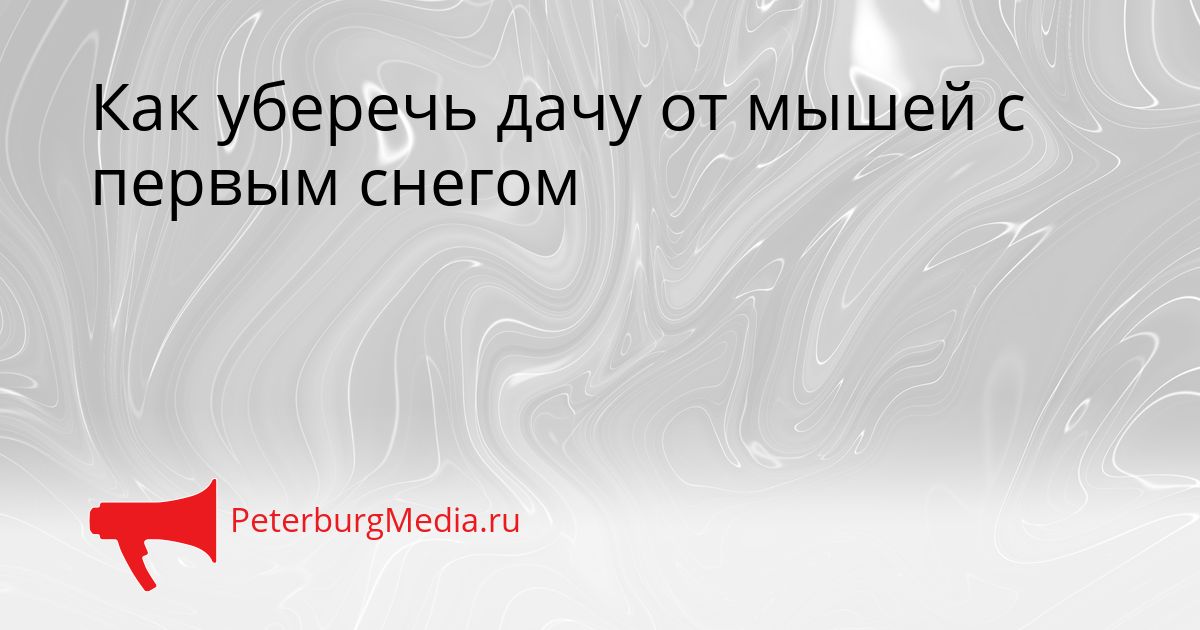 Как уберечь дачу от мышей с первым снегом