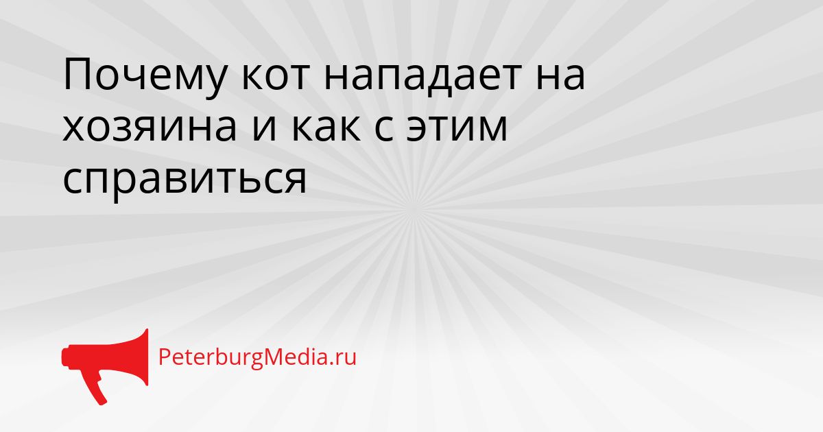 Почему кот нападает на хозяина и как с этим справиться