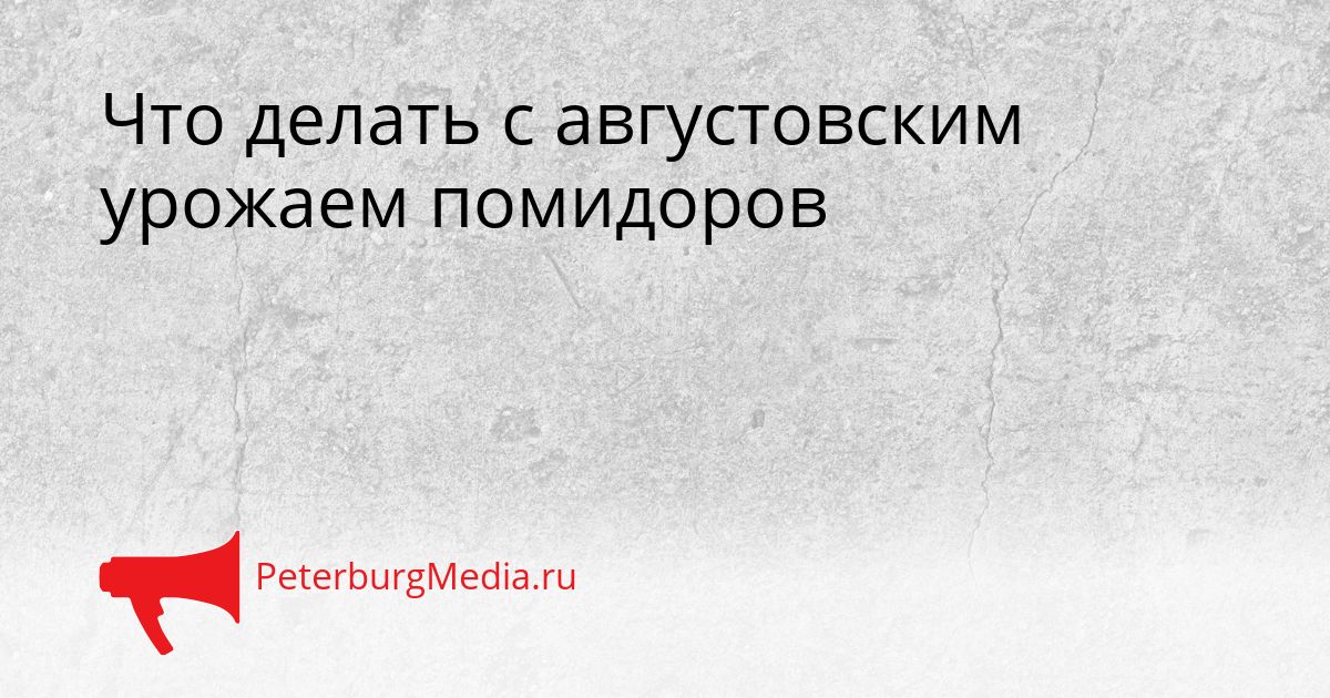 Что делать с августовским урожаем помидоров