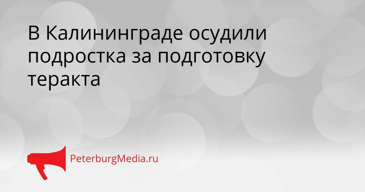 В Калининграде осудили подростка за подготовку теракта