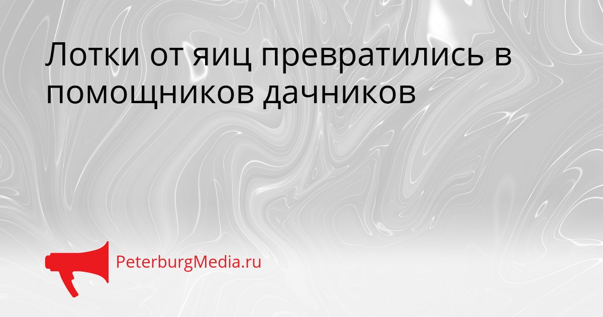 Лотки от яиц превратились в помощников дачников