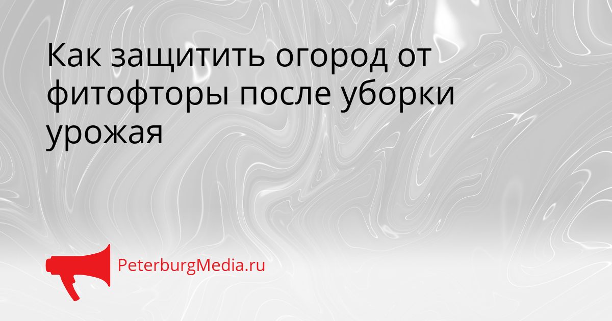 Как защитить огород от фитофторы после уборки урожая