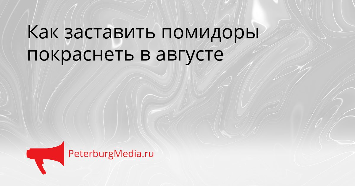 Как заставить помидоры покраснеть в августе