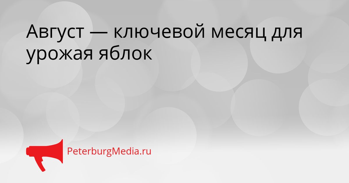 Август — ключевой месяц для урожая яблок