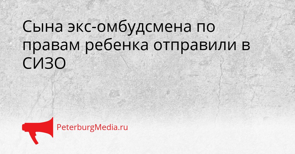 Сына экс-омбудсмена по правам ребенка отправили в СИЗО