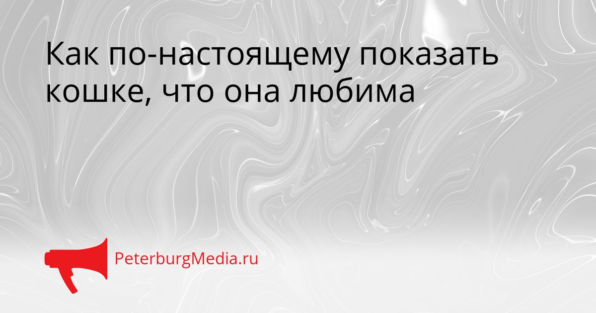Как по-настоящему показать кошке, что она любима