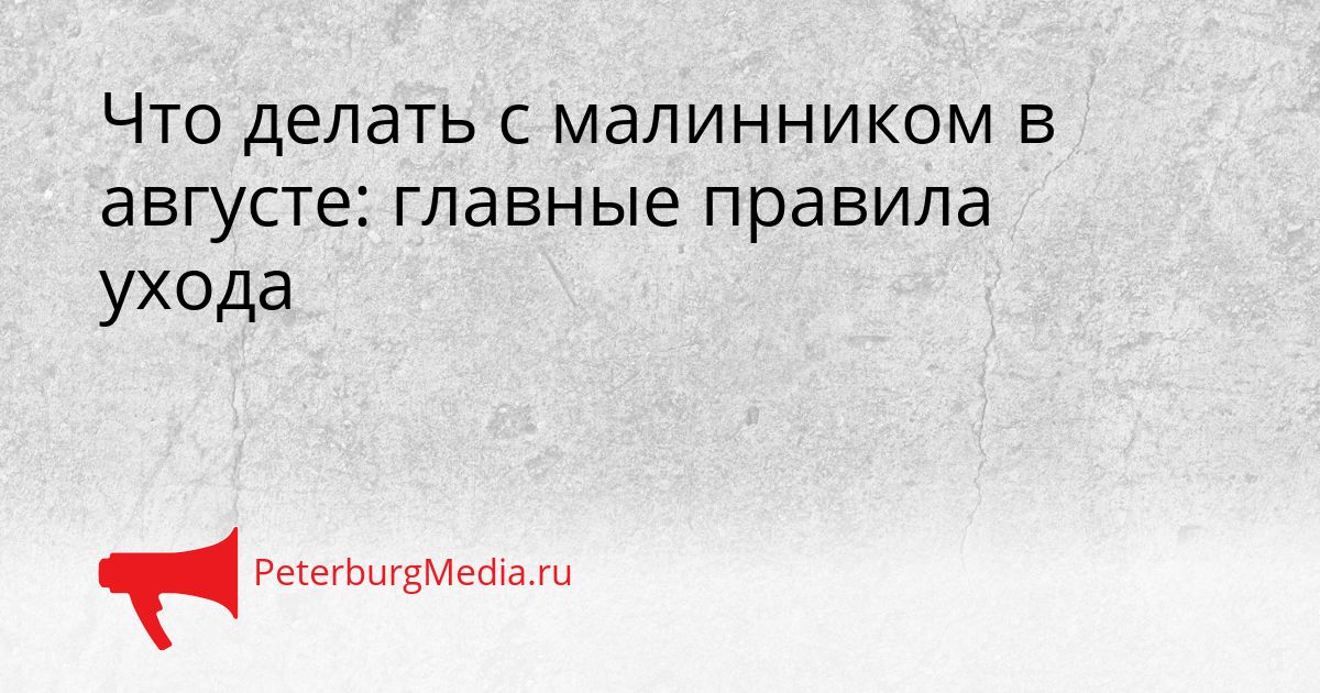 Что делать с малинником в августе: главные правила ухода