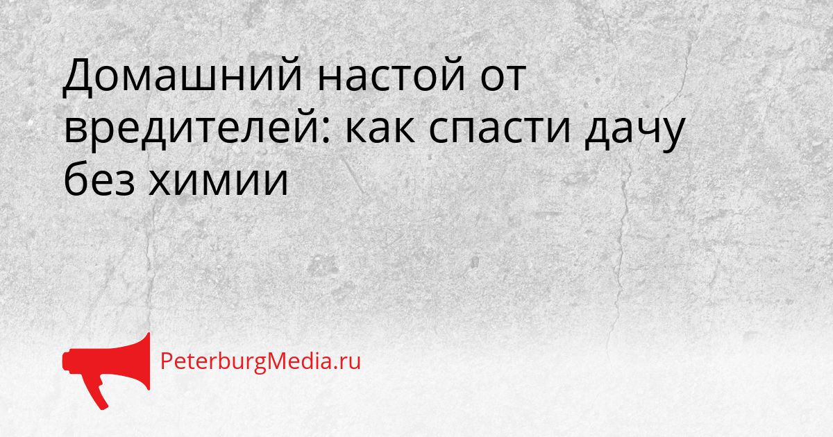 Домашний настой от вредителей: как спасти дачу без химии