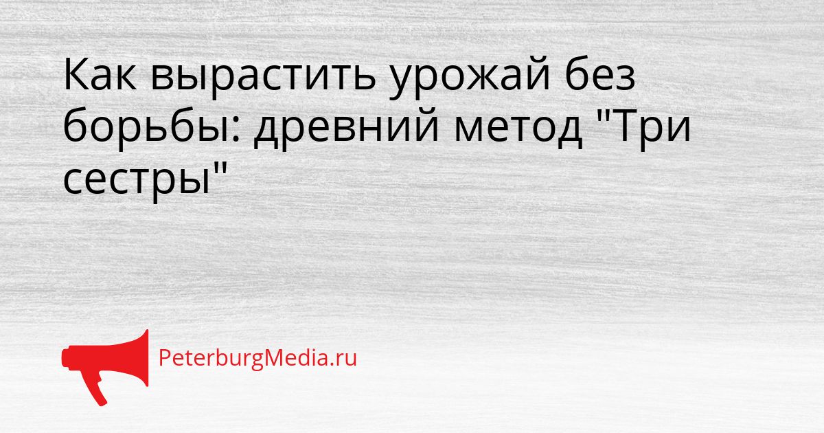 Как вырастить урожай без борьбы: древний метод "Три сестры"