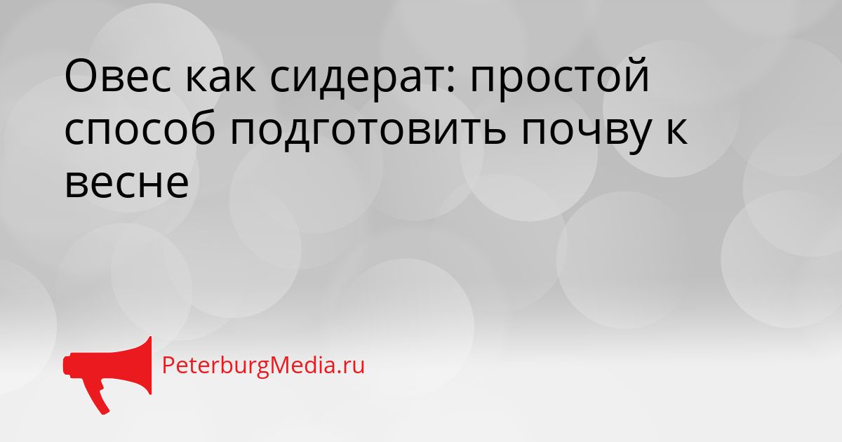 Овес как сидерат: простой способ подготовить почву к весне