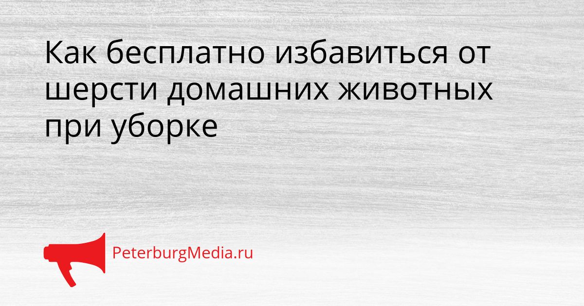 Как бесплатно избавиться от шерсти домашних животных при уборке
