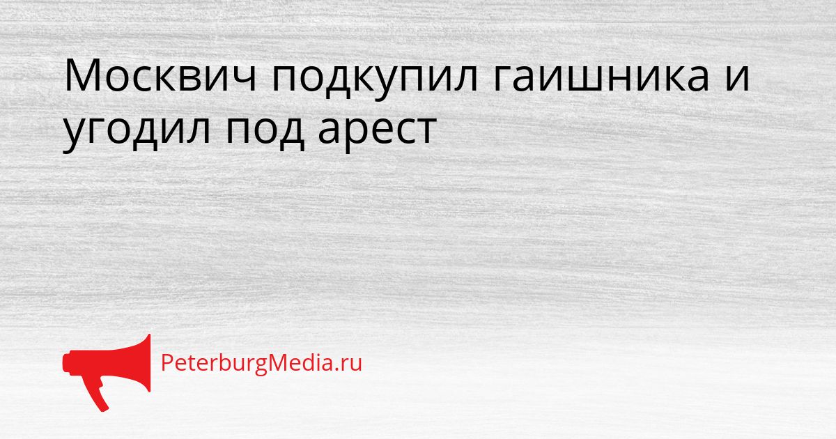 Москвич подкупил гаишника и угодил под арест