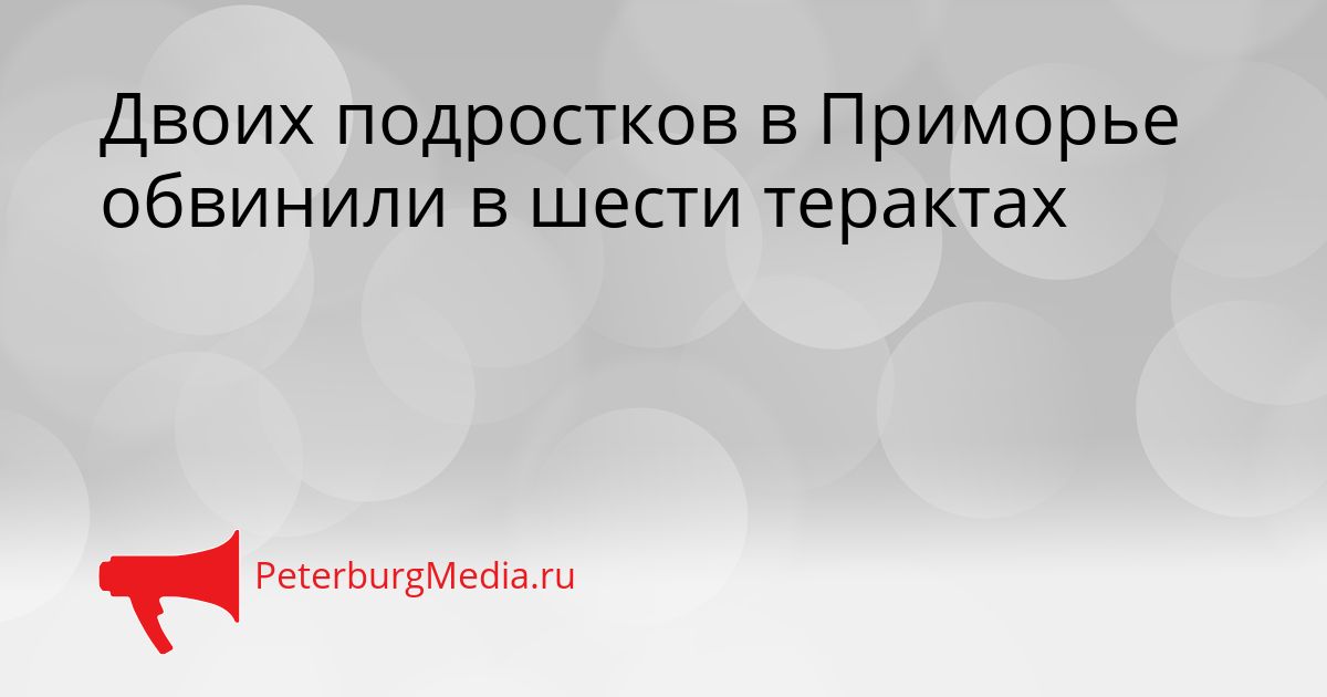 Двоих подростков в Приморье обвинили в шести терактах