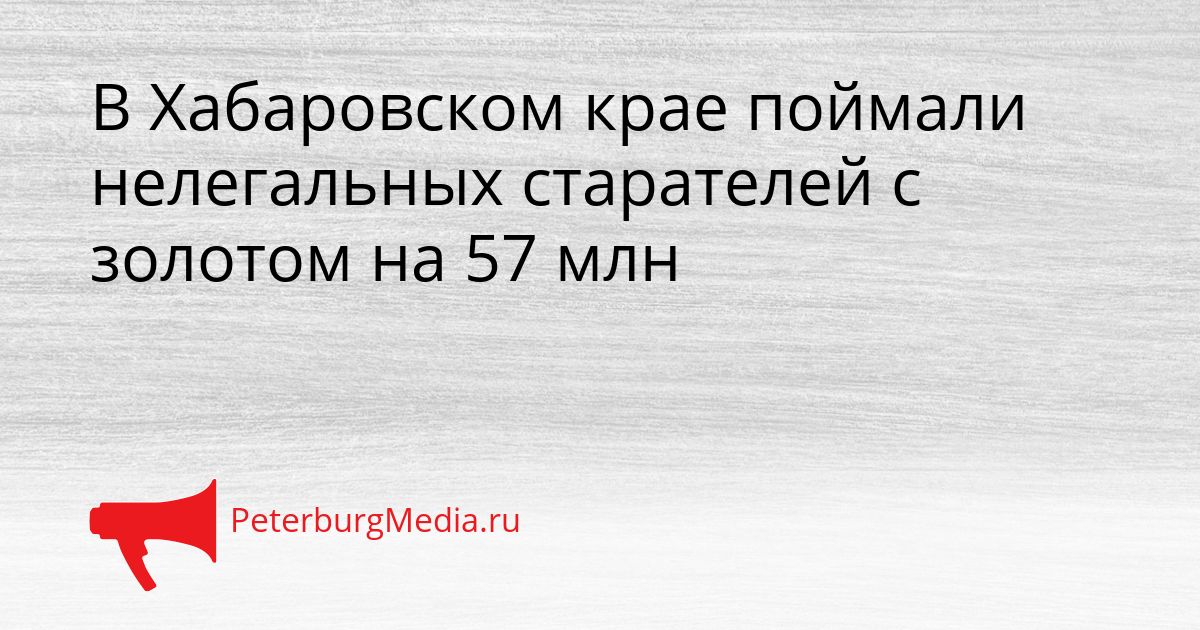 В Хабаровском крае поймали нелегальных старателей с золотом на 57 млн